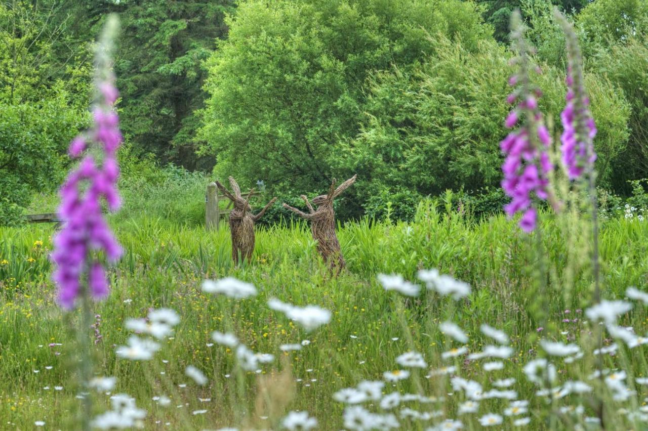 Orroland Holiday Cottages Dundrennan Exteriör bild