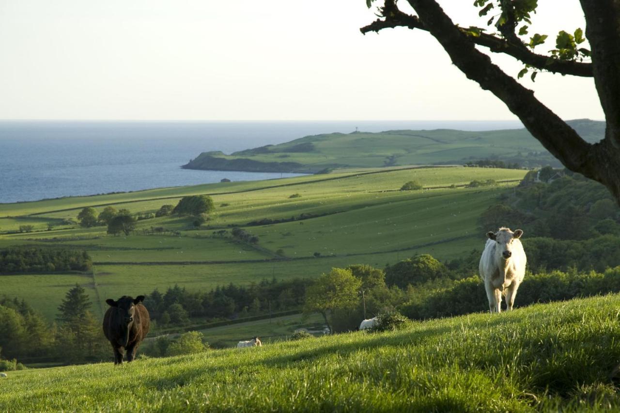 Orroland Holiday Cottages Dundrennan Exteriör bild